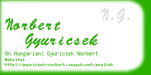 norbert gyuricsek business card